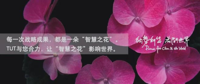 KEA）的全球化历程、品牌战略与启示PG麻将胡了从小镇走向世界 宜家（I(图2)