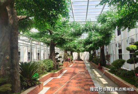 区民族养老院（五里坨院区）专业护理+舒适