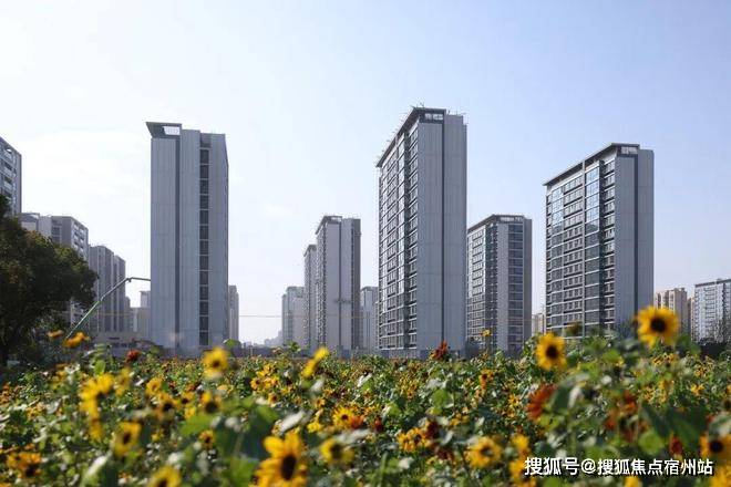 间-地址-最新房价户型图-小区环境-楼盘详情-交房时间-周边配套-售楼处电话PG电子麻将胡了试玩尚湾林语首页网站-尚湾林语售楼处电话-楼盘详情-交房时(图18)