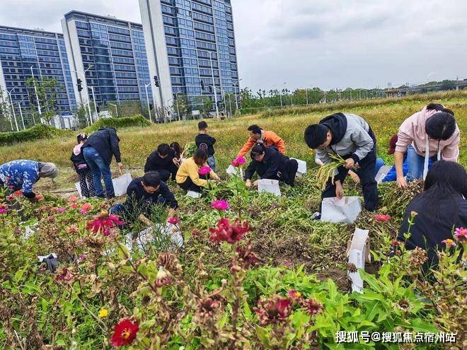 间-地址-最新房价户型图-小区环境-楼盘详情-交房时间-周边配套-售楼处电话PG电子麻将胡了试玩尚湾林语首页网站-尚湾林语售楼处电话-楼盘详情-交房时(图34) 间-地址-最新房价户型图-小区环境-楼盘详情-交房时间-周边配套-售楼处电话PG电子麻将胡了试玩尚湾林语首页网站-尚湾林语售楼处电话-楼盘详情-交房时(图34)