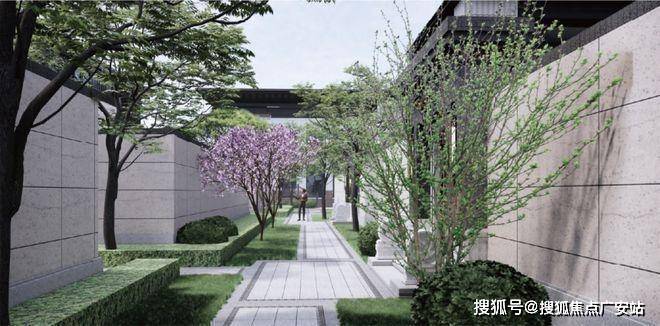 院子售楼处发布：海上院子尽显高端质感麻将胡了试玩模拟器本月聚焦@泰禾海上(图8)